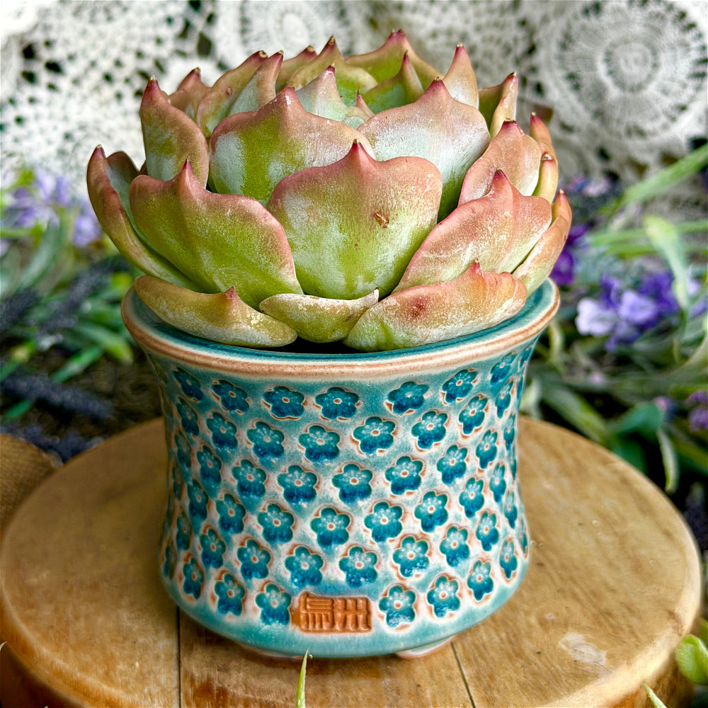 WS-0064 Premium Handmade Ceramic Planter Pot - Pot Rim Diameter: ~3"