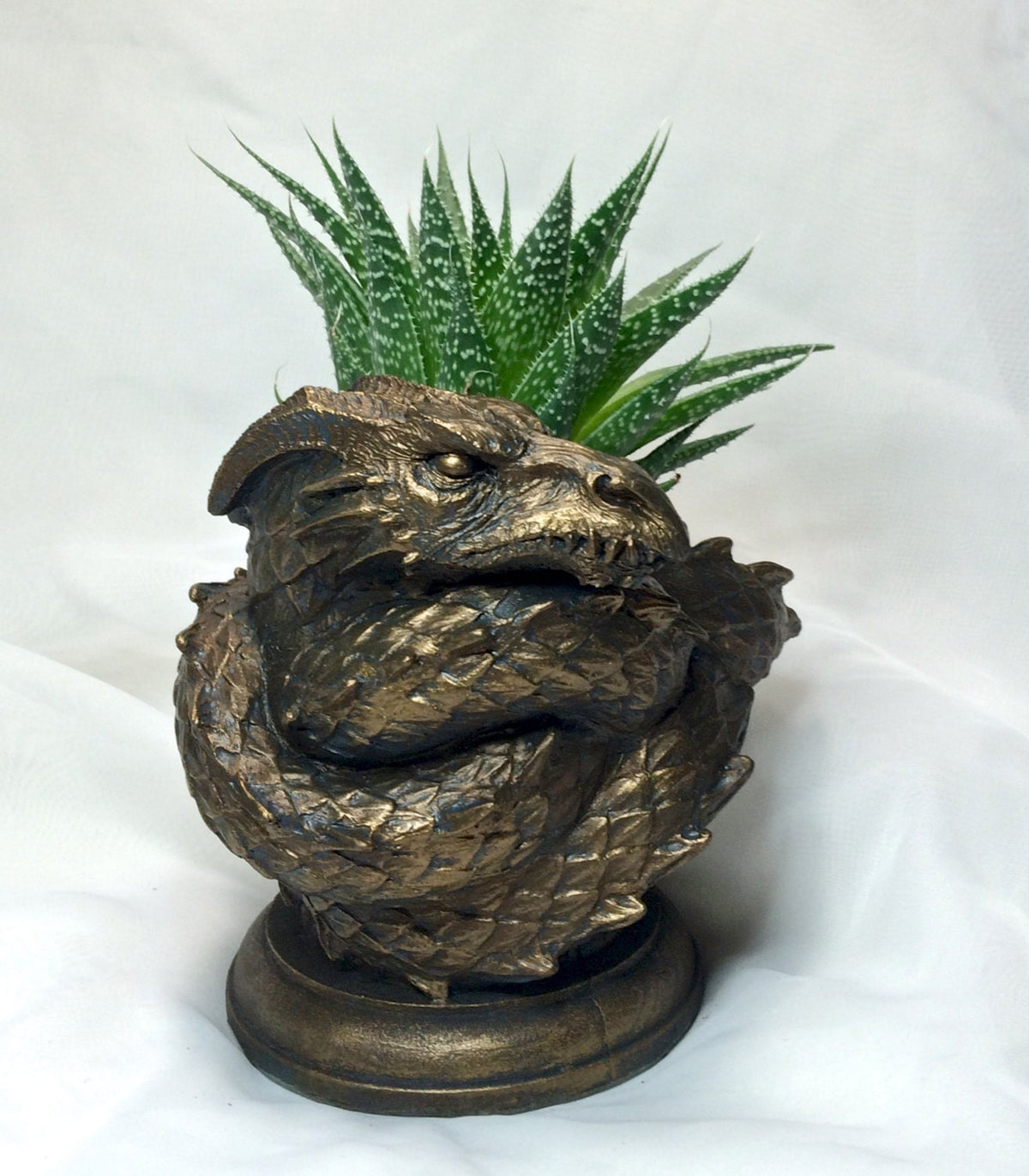Coiled Dragon Planter | Bronze Finish