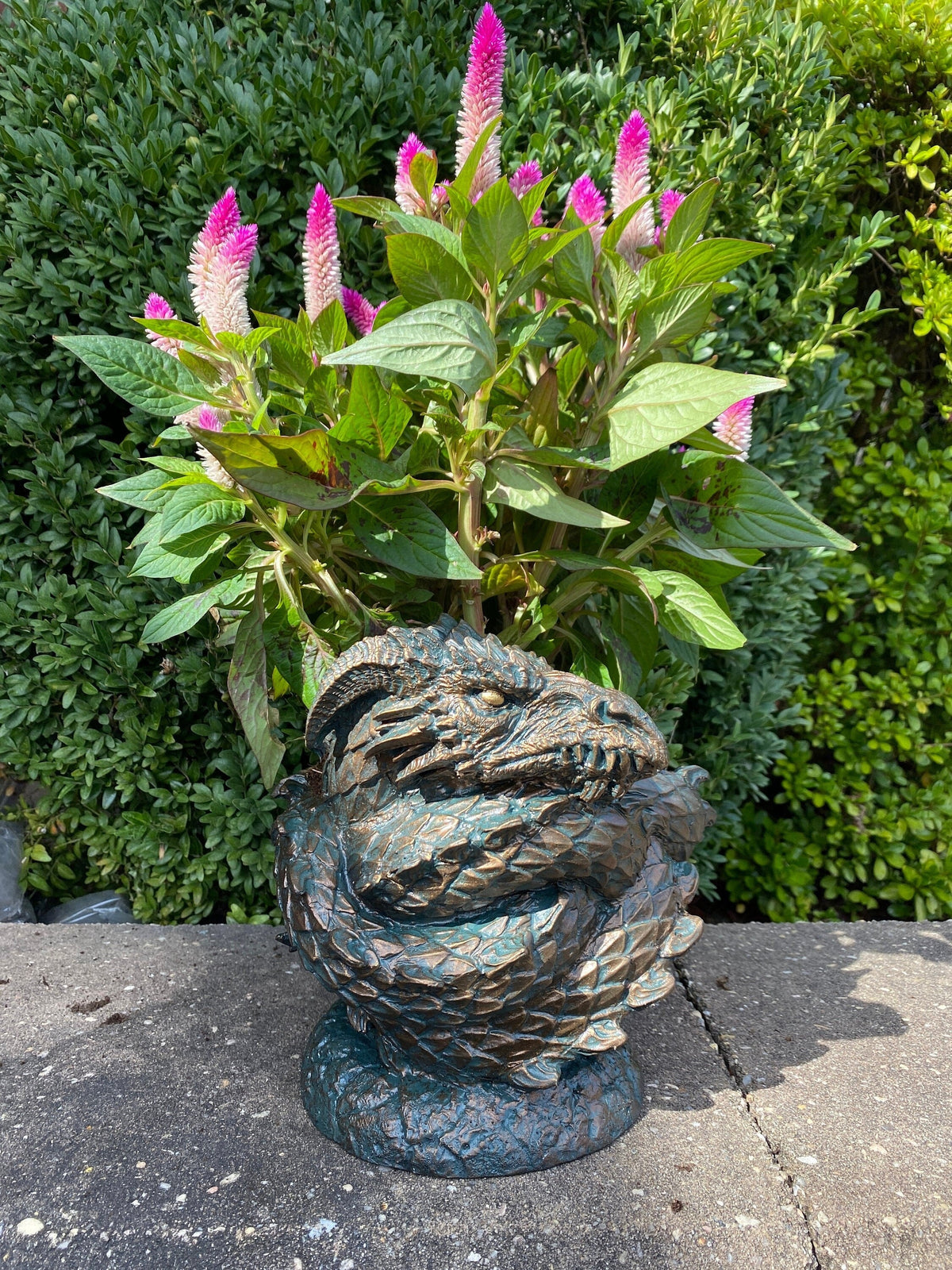 Coiled Dragon Planter | Large Version