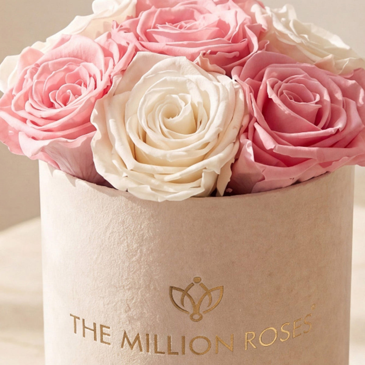 Essence Beige Suede Box | Light Pink & White Roses