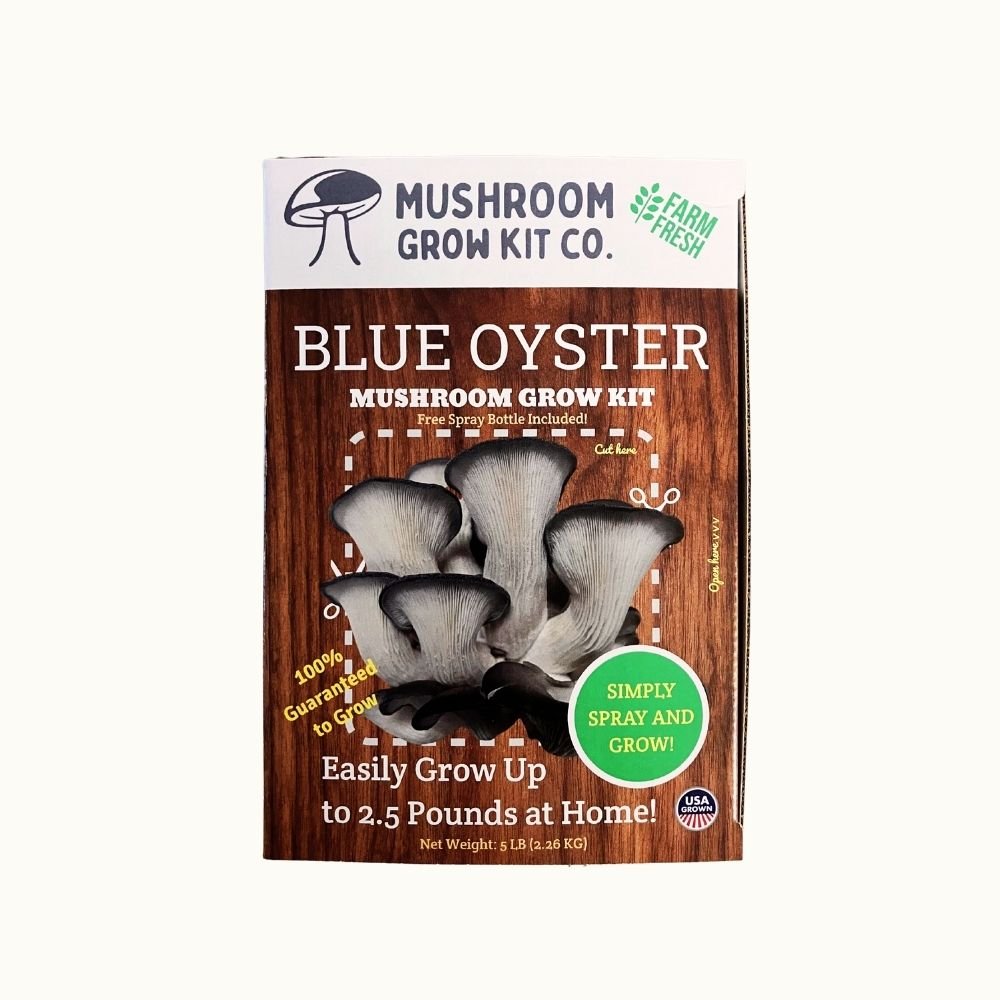 Blue Oyster Mushroom Growing Kit - 5 LBS Spray and Grow