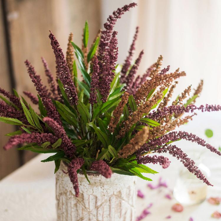 Buddleja Butterfly Bush Bundle 18" Tall
