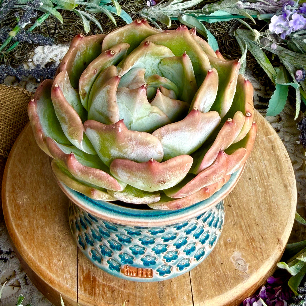 WS-0064 Premium Handmade Ceramic Planter Pot - Pot Rim Diameter: ~3"