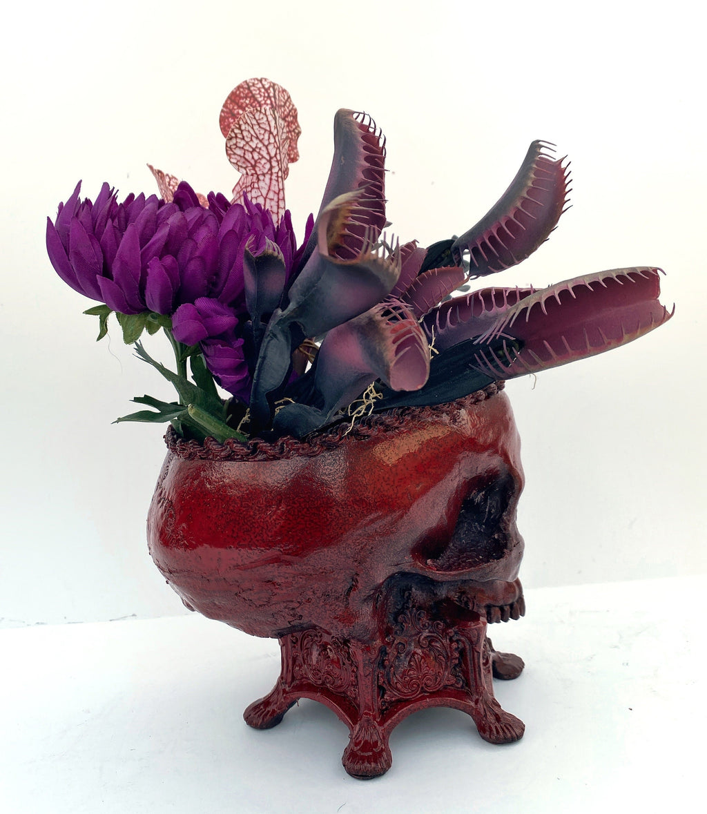 Human Skull Planter | Blood Red Finish