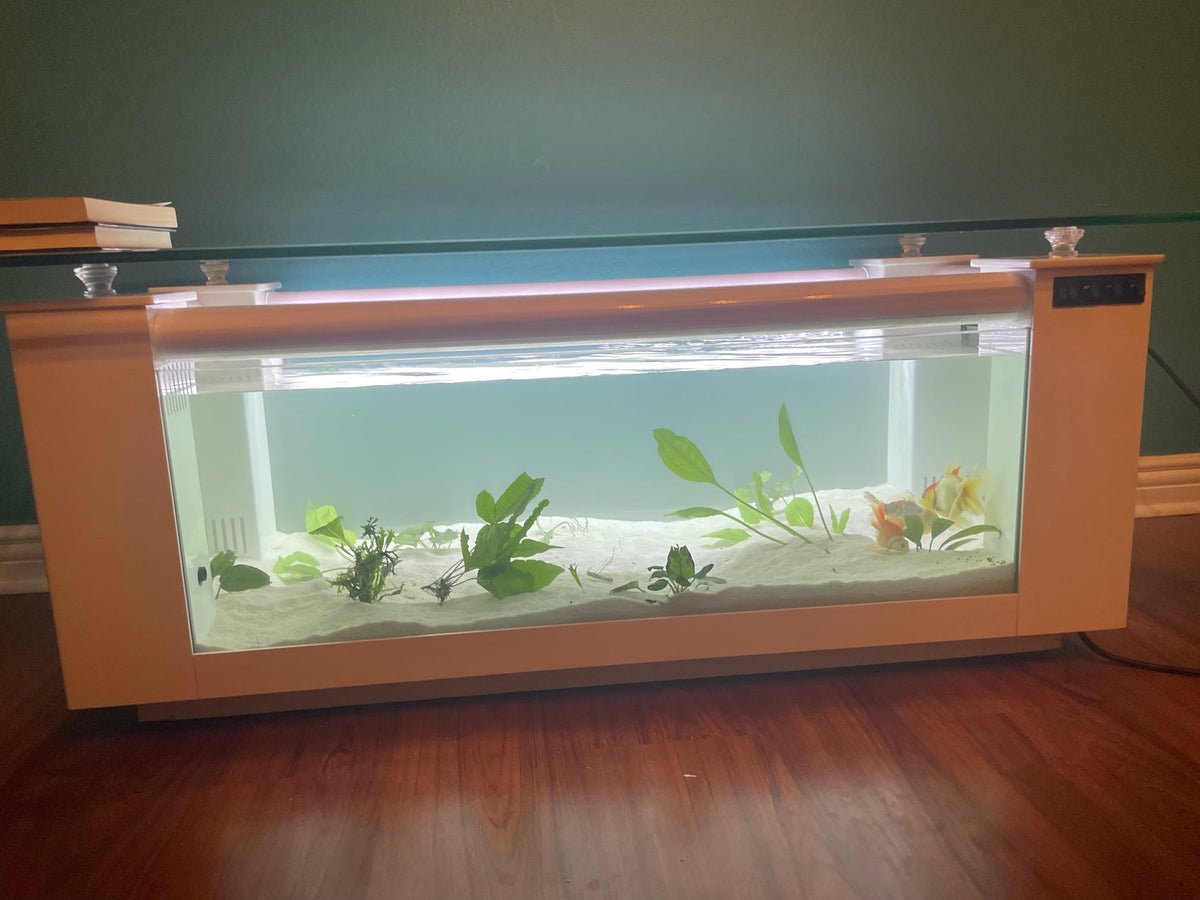 WARRANTY INCLUDED! 45 gallon GLASS rectangle table aquarium fish tank full setup