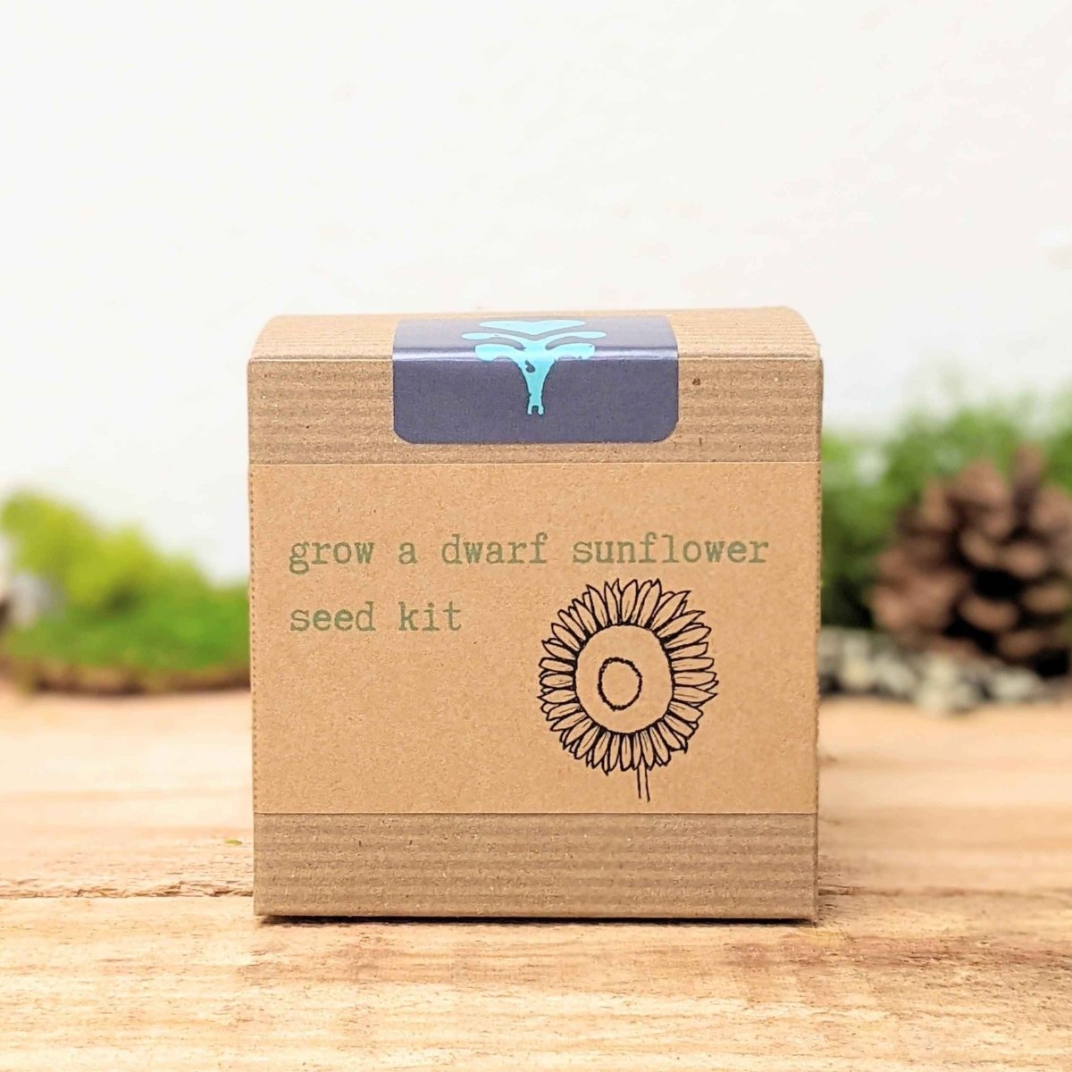 Dwarf Sunflower Beginner Grow Kit