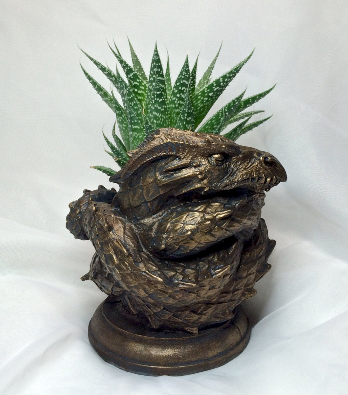 Coiled Dragon Planter | Bronze Finish