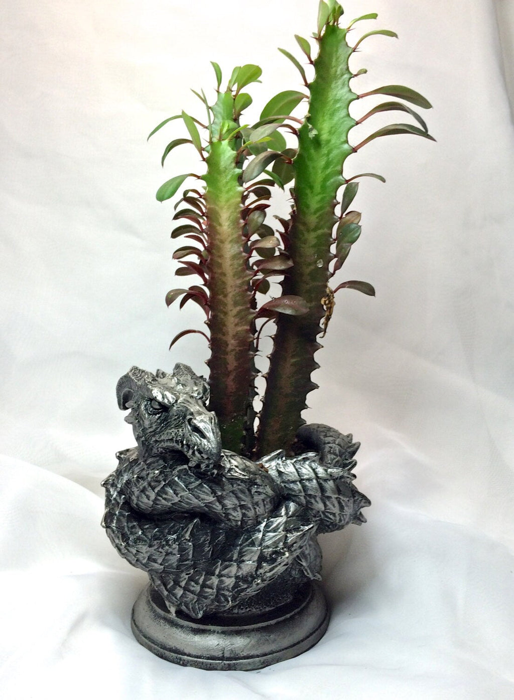 Coiled Dragon Planter | Pewter Finish