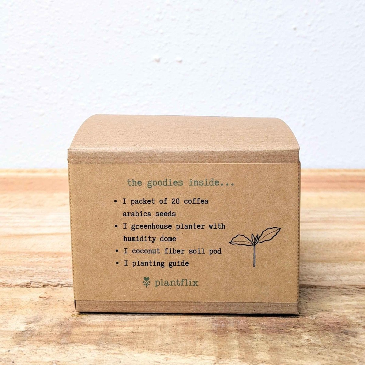 Grow a Coffee Plant Seed Kit