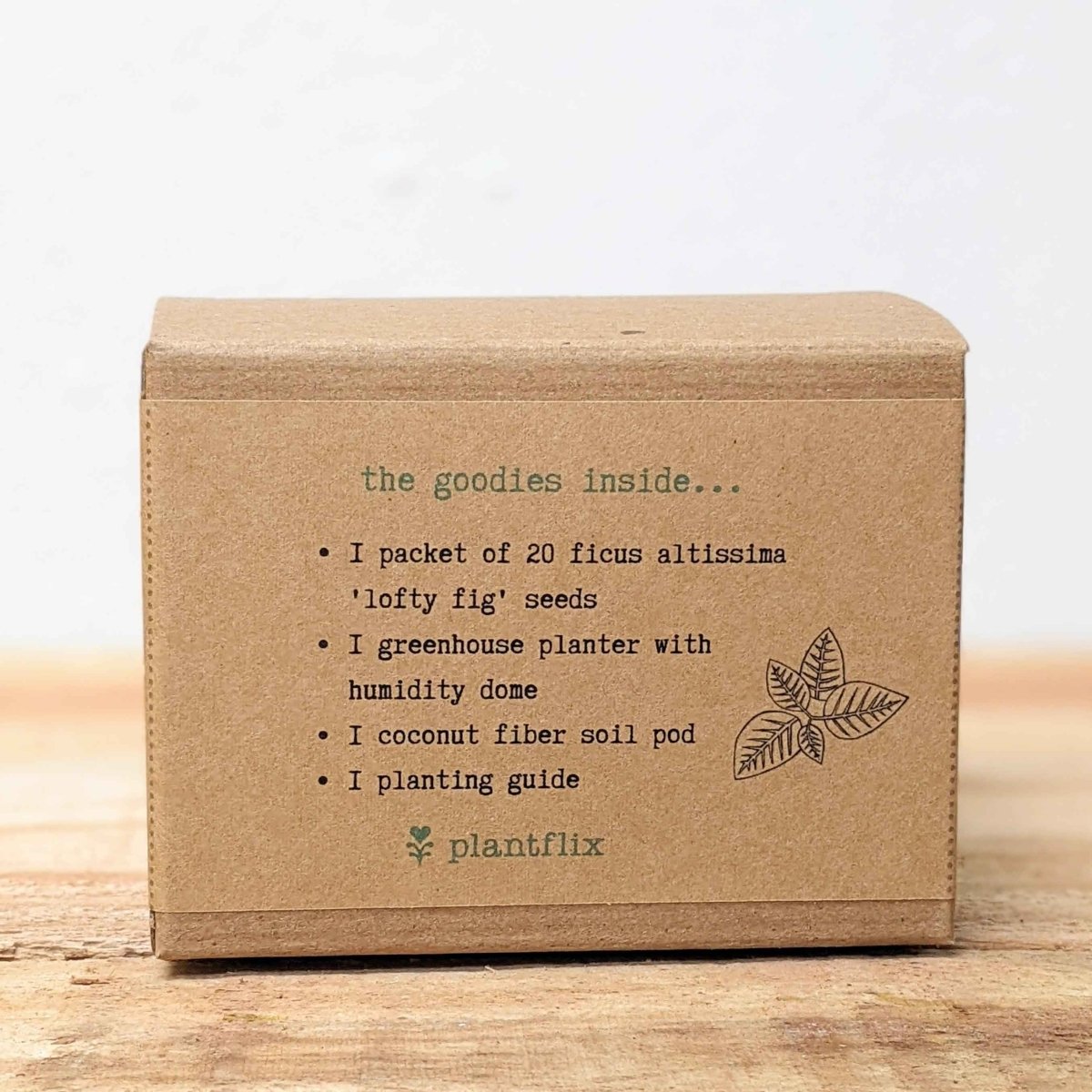 Grow a Ficus Altissima Seed Kit