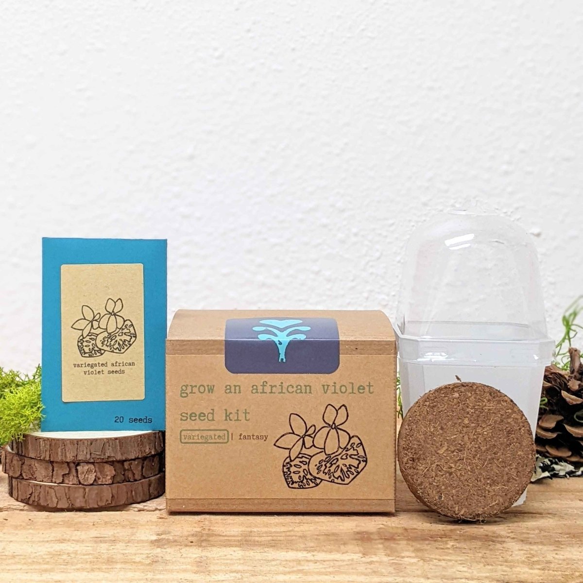 Grow an African Violet Seed Kit