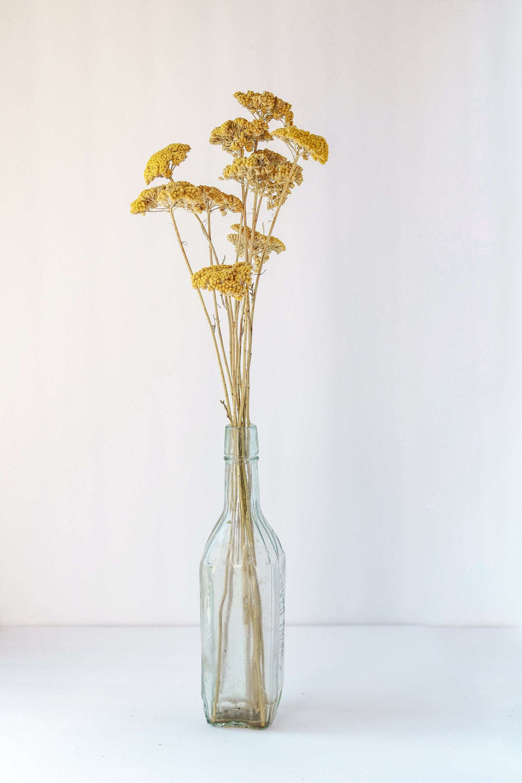 Dried Yellow Yarrow | California-Grown Preserved Flowers