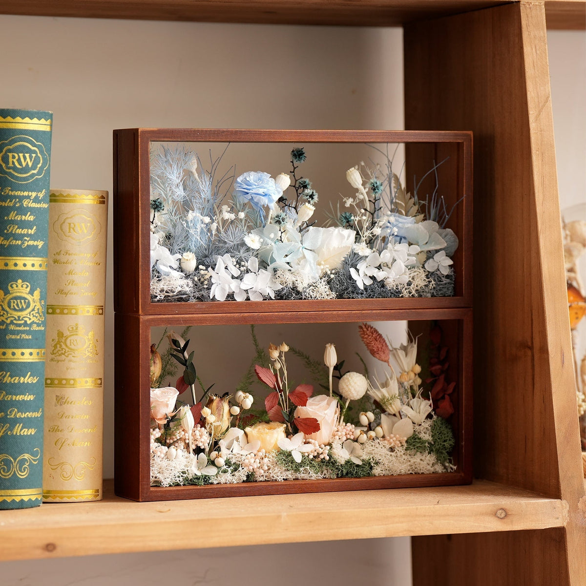 The Micro Garden | Preserved Flower Landscape