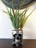 Human Skull Planter | Pewter Finish
