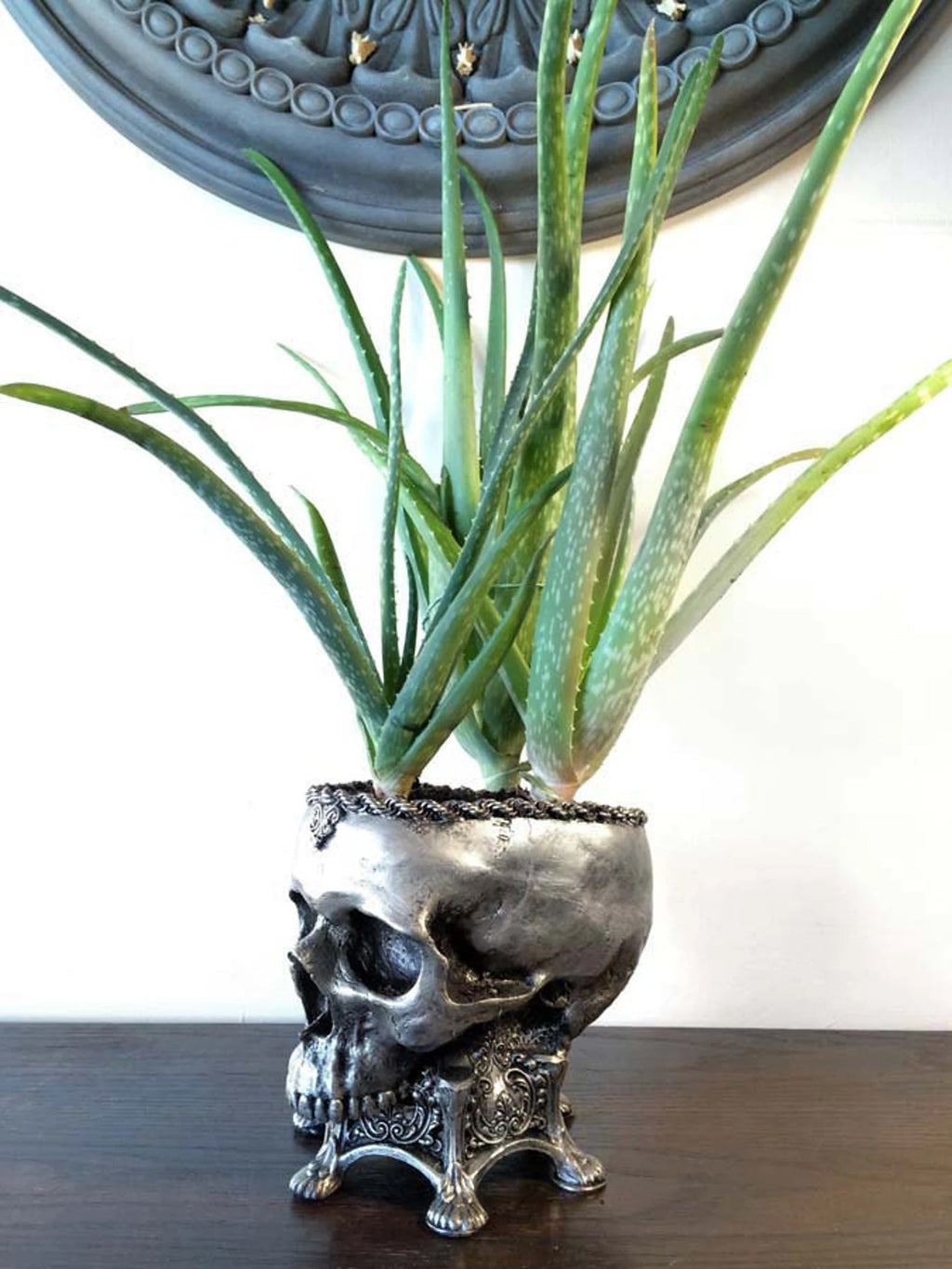 Human Skull Planter | Pewter Finish