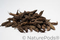 Twisty Pods/Fusilli Pods