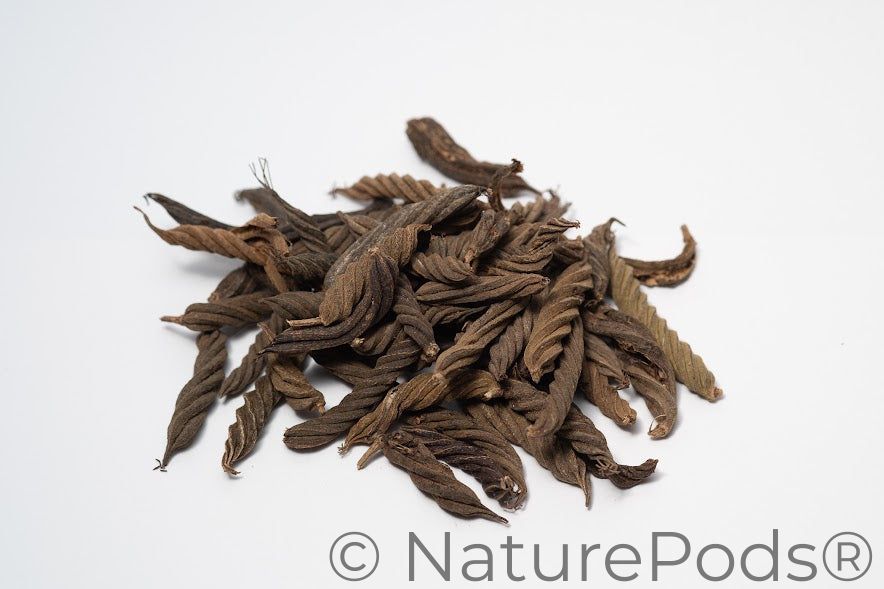 Twisty Pods/Fusilli Pods